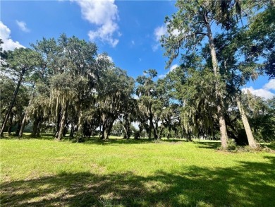 Gorgeous Lot on the Golf Course in Sutherland Bluff! Waterfront on Sapelo Hammock Golf Club in Georgia - for sale on GolfHomes.com, golf home, golf lot