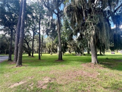 Gorgeous Lot on the Golf Course in Sutherland Bluff! Waterfront on Sapelo Hammock Golf Club in Georgia - for sale on GolfHomes.com, golf home, golf lot