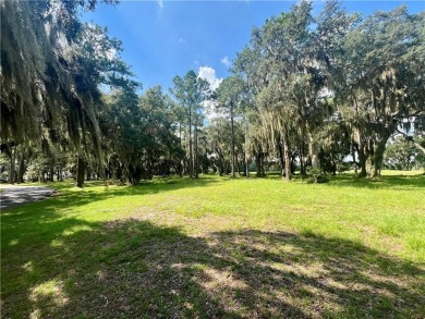 Gorgeous Lot on the Golf Course in Sutherland Bluff! Waterfront on Sapelo Hammock Golf Club in Georgia - for sale on GolfHomes.com, golf home, golf lot
