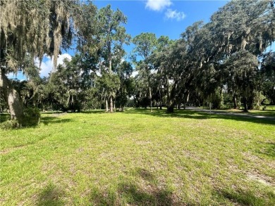 Gorgeous Lot on the Golf Course in Sutherland Bluff! Waterfront on Sapelo Hammock Golf Club in Georgia - for sale on GolfHomes.com, golf home, golf lot