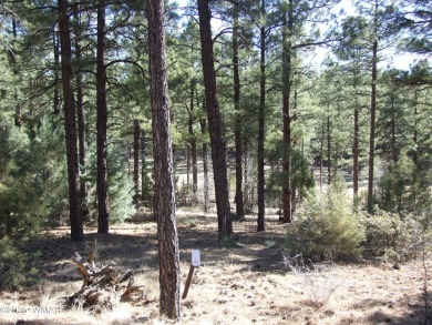 Wonderful building lot near the Bison Golf Course area. Great on Bison Golf and Country Club in Arizona - for sale on GolfHomes.com, golf home, golf lot