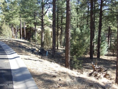 Wonderful building lot near the Bison Golf Course area. Great on Bison Golf and Country Club in Arizona - for sale on GolfHomes.com, golf home, golf lot