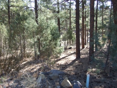 Wonderful building lot near the Bison Golf Course area. Great on Bison Golf and Country Club in Arizona - for sale on GolfHomes.com, golf home, golf lot