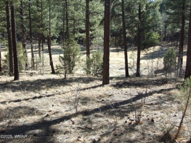 Wonderful building lot near the Bison Golf Course area. Great on Bison Golf and Country Club in Arizona - for sale on GolfHomes.com, golf home, golf lot