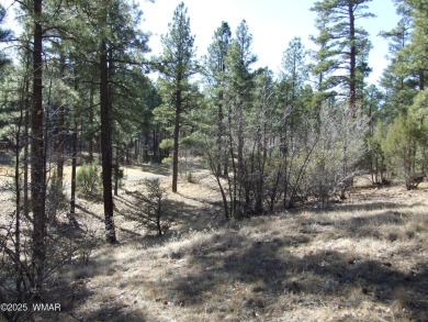 Wonderful building lot near the Bison Golf Course area. Great on Bison Golf and Country Club in Arizona - for sale on GolfHomes.com, golf home, golf lot