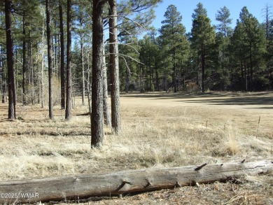Wonderful building lot near the Bison Golf Course area. Great on Bison Golf and Country Club in Arizona - for sale on GolfHomes.com, golf home, golf lot