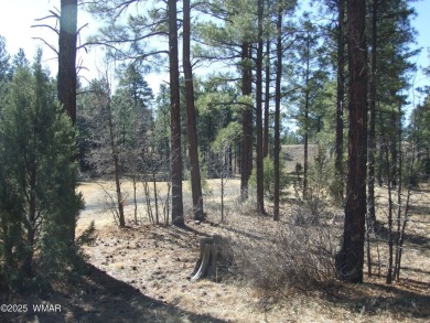 Wonderful building lot near the Bison Golf Course area. Great on Bison Golf and Country Club in Arizona - for sale on GolfHomes.com, golf home, golf lot