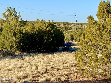 Beautiful 1+ acre property with installed septic and private on Silver Creek Golf Club in Arizona - for sale on GolfHomes.com, golf home, golf lot