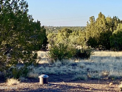 Beautiful 1+ acre property with installed septic and private on Silver Creek Golf Club in Arizona - for sale on GolfHomes.com, golf home, golf lot