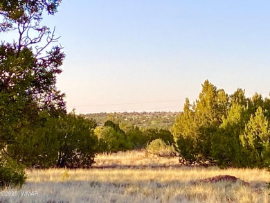 Beautiful 1+ acre property with installed septic and private on Silver Creek Golf Club in Arizona - for sale on GolfHomes.com, golf home, golf lot