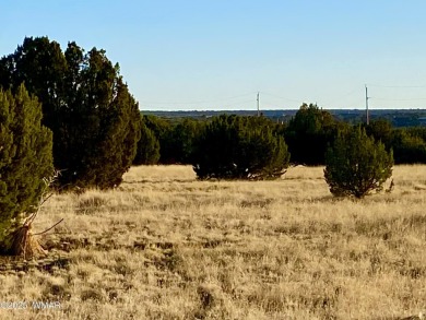 Beautiful 1+ acre property with installed septic and private on Silver Creek Golf Club in Arizona - for sale on GolfHomes.com, golf home, golf lot