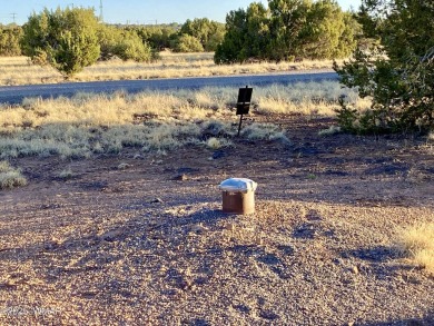 Beautiful 1+ acre property with installed septic and private on Silver Creek Golf Club in Arizona - for sale on GolfHomes.com, golf home, golf lot