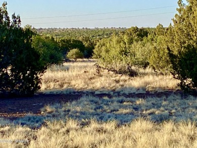 Beautiful 1+ acre property with installed septic and private on Silver Creek Golf Club in Arizona - for sale on GolfHomes.com, golf home, golf lot