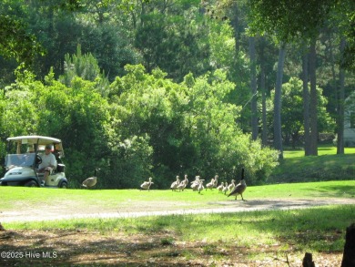 Lovely wooded lot along Fairway #3 in Lockwood Folly Country on Lockwood Folly Country Club in North Carolina - for sale on GolfHomes.com, golf home, golf lot