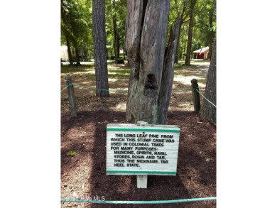 Lovely wooded lot along Fairway #3 in Lockwood Folly Country on Lockwood Folly Country Club in North Carolina - for sale on GolfHomes.com, golf home, golf lot