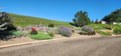 Rare Opportunity In The Enclave At LaPaloma! Build your dream on La Paloma Golf Club in Texas - for sale on GolfHomes.com, golf home, golf lot