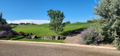 Rare Opportunity In The Enclave At LaPaloma! Build your dream on La Paloma Golf Club in Texas - for sale on GolfHomes.com, golf home, golf lot