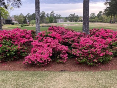 FAIRWAY SHOWPLACE - In ''The Reserve'' @ Woodside. Lovingly on The Reserve Club At Woodside Plantation in South Carolina - for sale on GolfHomes.com, golf home, golf lot