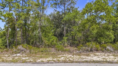 Beautiful single-family lot in Marion Oaks, FL!  Convenient on Marion Oaks Country Club in Florida - for sale on GolfHomes.com, golf home, golf lot