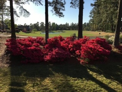 FAIRWAY SHOWPLACE - In ''The Reserve'' @ Woodside. Lovingly on The Reserve Club At Woodside Plantation in South Carolina - for sale on GolfHomes.com, golf home, golf lot