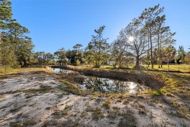 One or more photo(s) has been virtually staged. Discover serene on Wedgefield Golf Club in Florida - for sale on GolfHomes.com, golf home, golf lot