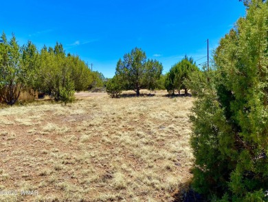 Gorgeous & level lot next to White Mountain Lake! Build your on Silver Creek Golf Club in Arizona - for sale on GolfHomes.com, golf home, golf lot