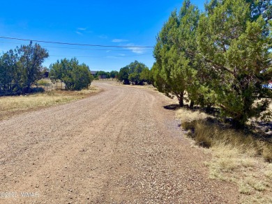 Gorgeous & level lot next to White Mountain Lake! Build your on Silver Creek Golf Club in Arizona - for sale on GolfHomes.com, golf home, golf lot