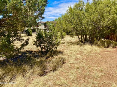 Gorgeous & level lot next to White Mountain Lake! Build your on Silver Creek Golf Club in Arizona - for sale on GolfHomes.com, golf home, golf lot