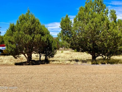 Gorgeous & level lot next to White Mountain Lake! Build your on Silver Creek Golf Club in Arizona - for sale on GolfHomes.com, golf home, golf lot