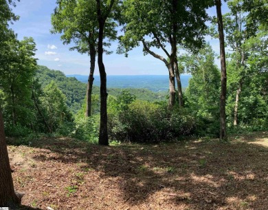 Nestled in the mountains just minutes from Greenville, SC, make on The Cliffs Valley Golf Course in South Carolina - for sale on GolfHomes.com, golf home, golf lot