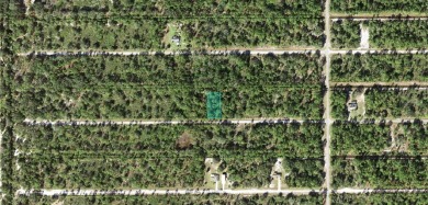 Check out this 0.50 ACRE lot located in Indian Lake Estates! A on Indian Lake Estates Golf and Country Club in Florida - for sale on GolfHomes.com, golf home, golf lot