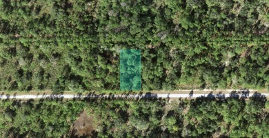 Check out this 0.50 ACRE lot located in Indian Lake Estates! A on Indian Lake Estates Golf and Country Club in Florida - for sale on GolfHomes.com, golf home, golf lot