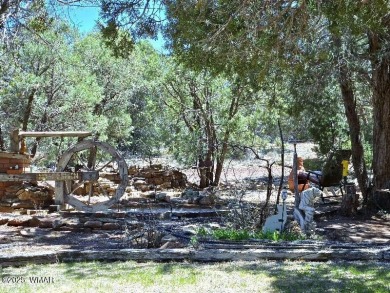 Escape to the tranquility of the countryside with this beautiful on Silver Creek Golf Club in Arizona - for sale on GolfHomes.com, golf home, golf lot