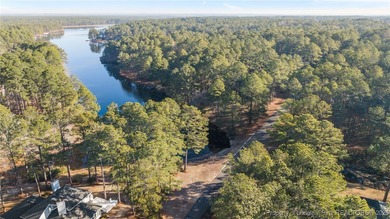 Experience modern living in this contemporary split-level home on Deercroft Golf and Country Club in North Carolina - for sale on GolfHomes.com, golf home, golf lot