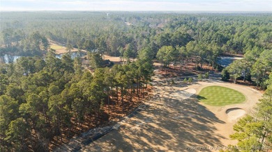 Experience modern living in this contemporary split-level home on Deercroft Golf and Country Club in North Carolina - for sale on GolfHomes.com, golf home, golf lot