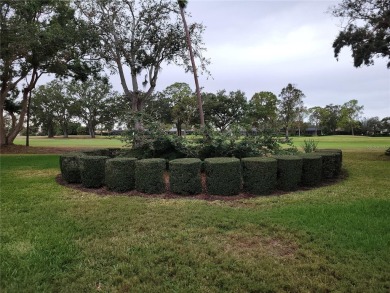 Golf course community with no HOA!  Great opportunity to own a on Countryside Country Club in Florida - for sale on GolfHomes.com, golf home, golf lot