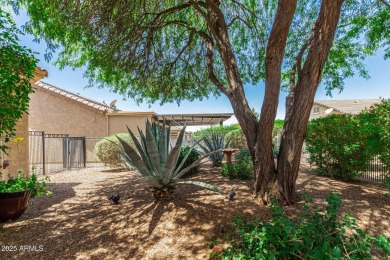 You simply have to experience this very nicely appointed Gala on Copper Canyon Golf Club in Arizona - for sale on GolfHomes.com, golf home, golf lot
