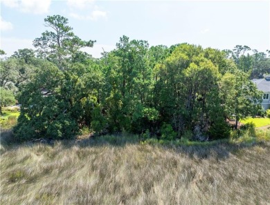 Build your dream home on this .46-acre homesite located in the on The King and Prince Golf Course, Home of the Hampton Club in Georgia - for sale on GolfHomes.com, golf home, golf lot