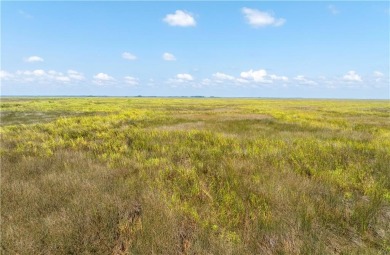 Build your dream home on this .46-acre homesite located in the on The King and Prince Golf Course, Home of the Hampton Club in Georgia - for sale on GolfHomes.com, golf home, golf lot