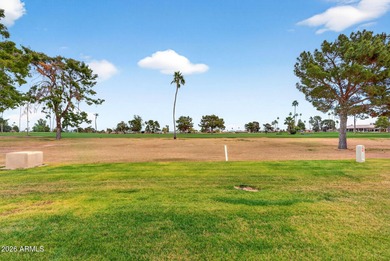 Experience the best of Sun City living in this well-cared-for on PalmBrook Country Club in Arizona - for sale on GolfHomes.com, golf home, golf lot