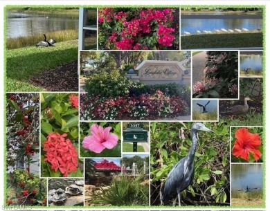 BEST VALUE IN ALL OF SOUTHWEST FLORIDA. This community and home on Pelicans Nest Golf Club in Florida - for sale on GolfHomes.com, golf home, golf lot
