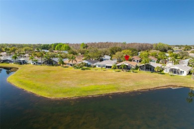 A LOVELY FULLY FURNISHED, 1600 SQFT, 2 BEDROOMS, 2 BATHROOMS on Tampa Bay Golf and Country Club in Florida - for sale on GolfHomes.com, golf home, golf lot