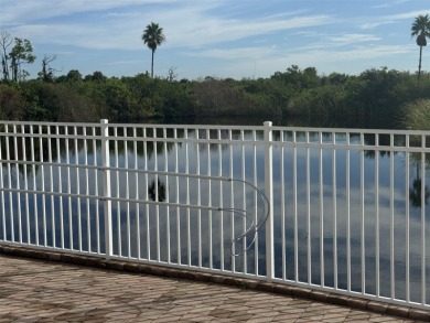 Welcome to 10045 Links Lane in the beautiful community of on Rotonda Golf and Country Club The Links Course in Florida - for sale on GolfHomes.com, golf home, golf lot
