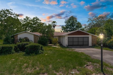 Under contract-accepting backup offers. INVESTOR SPECIAL. Great on Spring Hill Golf Course in Florida - for sale on GolfHomes.com, golf home, golf lot