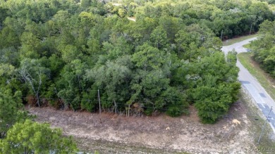 PRIME MULTI-FAMILY LOT - READY TO BUILD! NEW CONSTRUCTION ACROSS on Citrus Springs Country Club in Florida - for sale on GolfHomes.com, golf home, golf lot