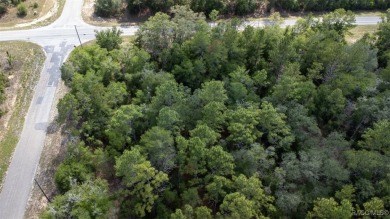 PRIME MULTI-FAMILY LOT - READY TO BUILD! NEW CONSTRUCTION ACROSS on Citrus Springs Country Club in Florida - for sale on GolfHomes.com, golf home, golf lot