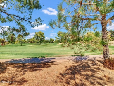 Enjoy your resort style backyard with its private heated pool on Raven Golf Club At South Mountain in Arizona - for sale on GolfHomes.com, golf home, golf lot