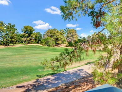 Enjoy your resort style backyard with its private heated pool on Raven Golf Club At South Mountain in Arizona - for sale on GolfHomes.com, golf home, golf lot