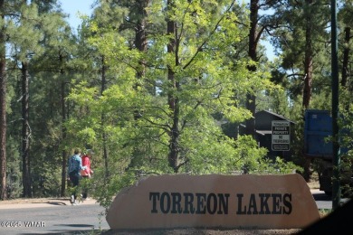 Currently the best lot in Torreon Lakes.  Nice, level, heavily on Torreon Golf Club in Arizona - for sale on GolfHomes.com, golf home, golf lot