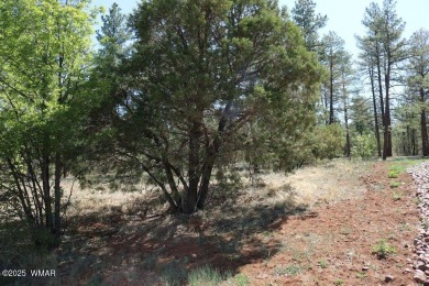 Currently the best lot in Torreon Lakes.  Nice, level, heavily on Torreon Golf Club in Arizona - for sale on GolfHomes.com, golf home, golf lot